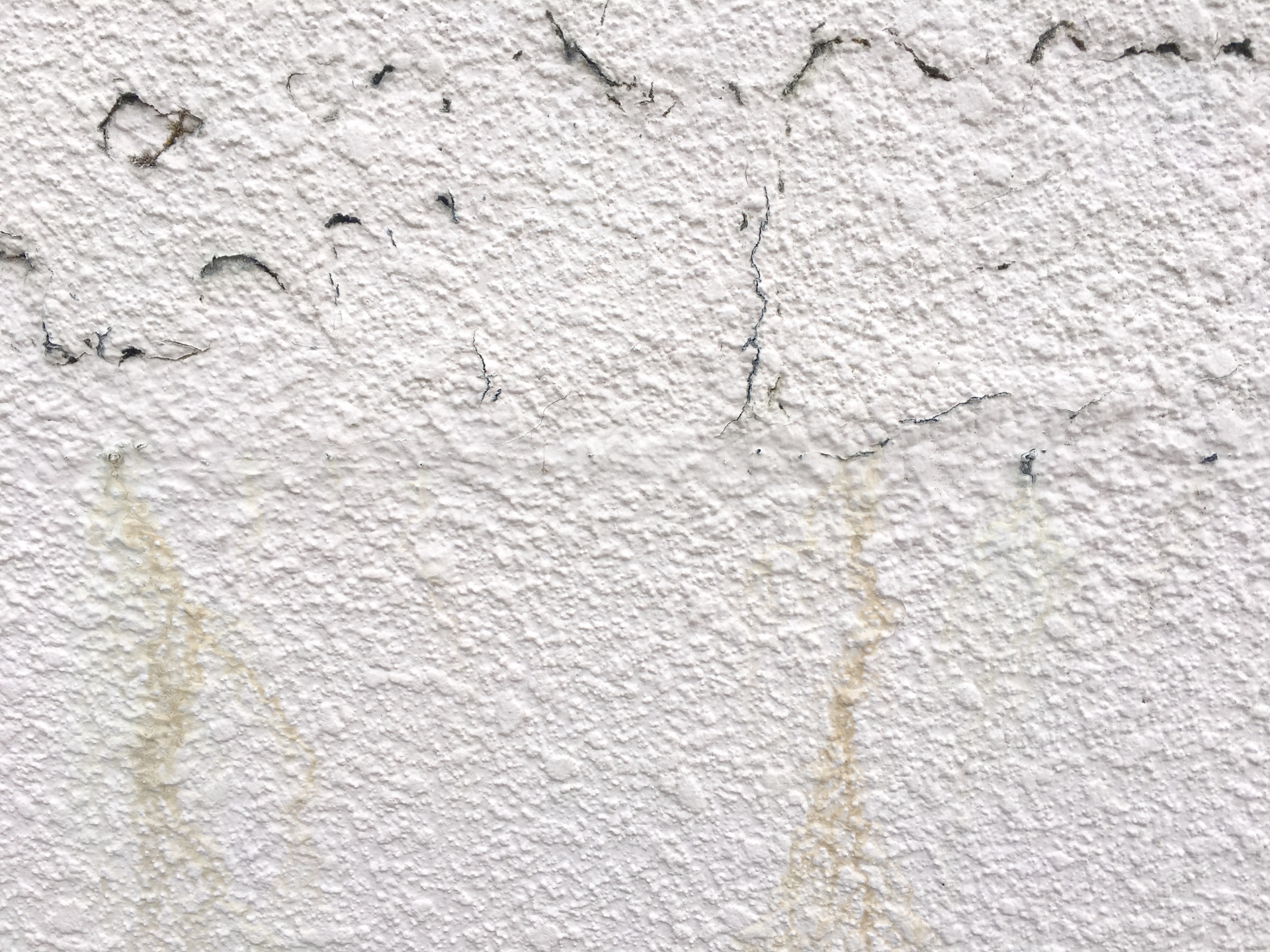 外壁塗装で行う高圧洗浄の必要性と洗浄時の注意点