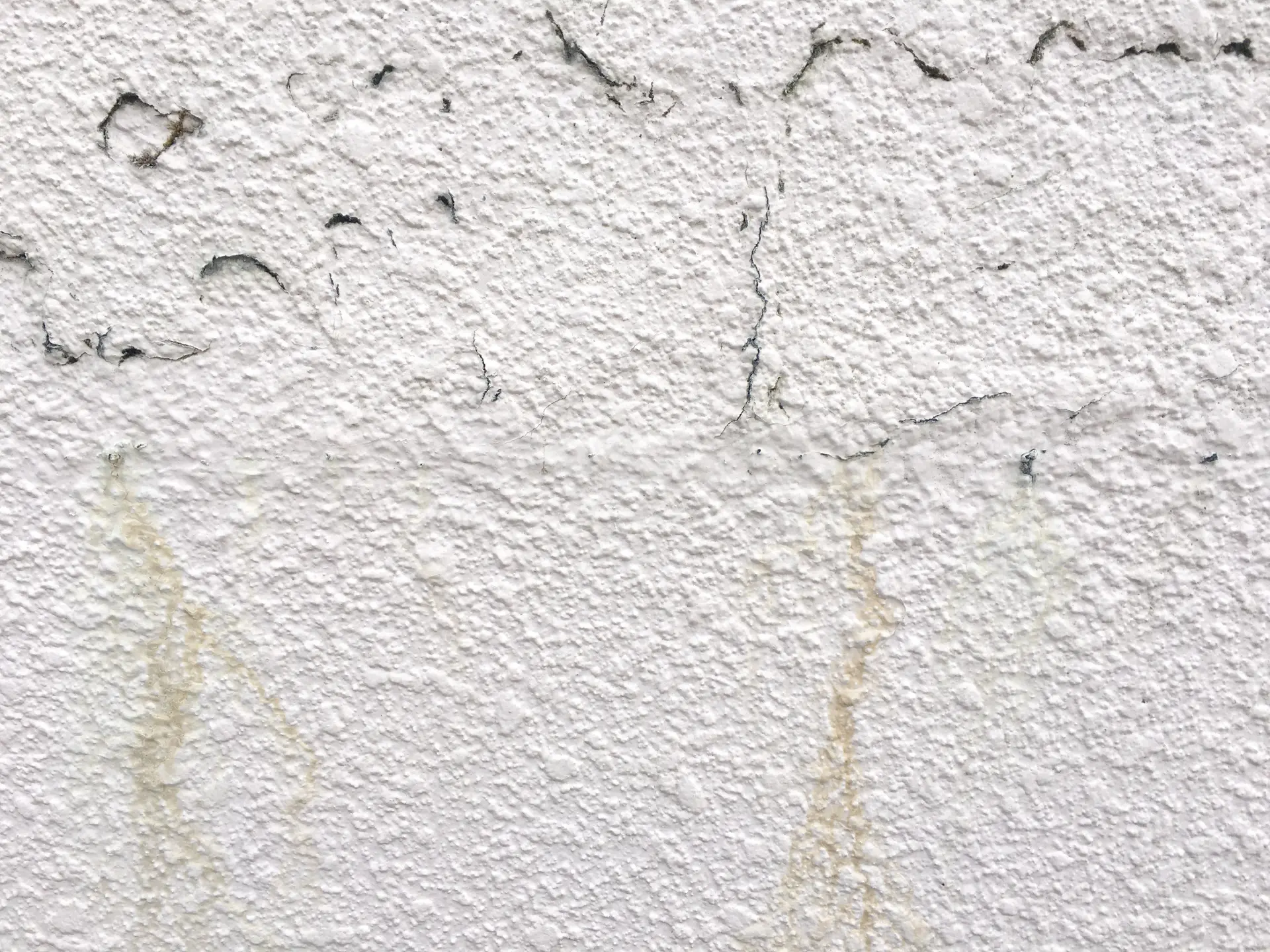 外壁塗装で行う高圧洗浄の必要性と洗浄時の注意点