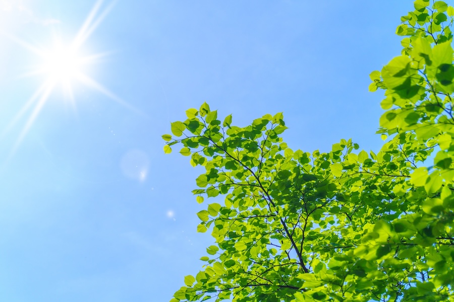 2回目以降の外壁塗装の時期・セルフチェック・工事の注意点について解説